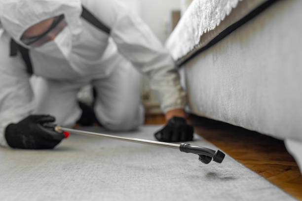 Professional Bed Bug Control technician working in Rockingham, NC